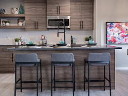 Trendy kitchen in the Hudson Avery duplex in Rocha in the Orchards.