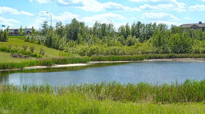 Storm water pond in the community of Maple Crest in Edmonton Alberta.